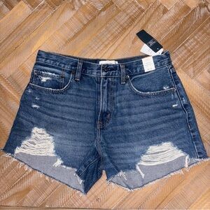 Abercrombie & Fitch Blue Distressed Jean Shorts Curve Love
